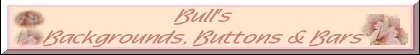 bullsbutton.jpg (7164 bytes)
